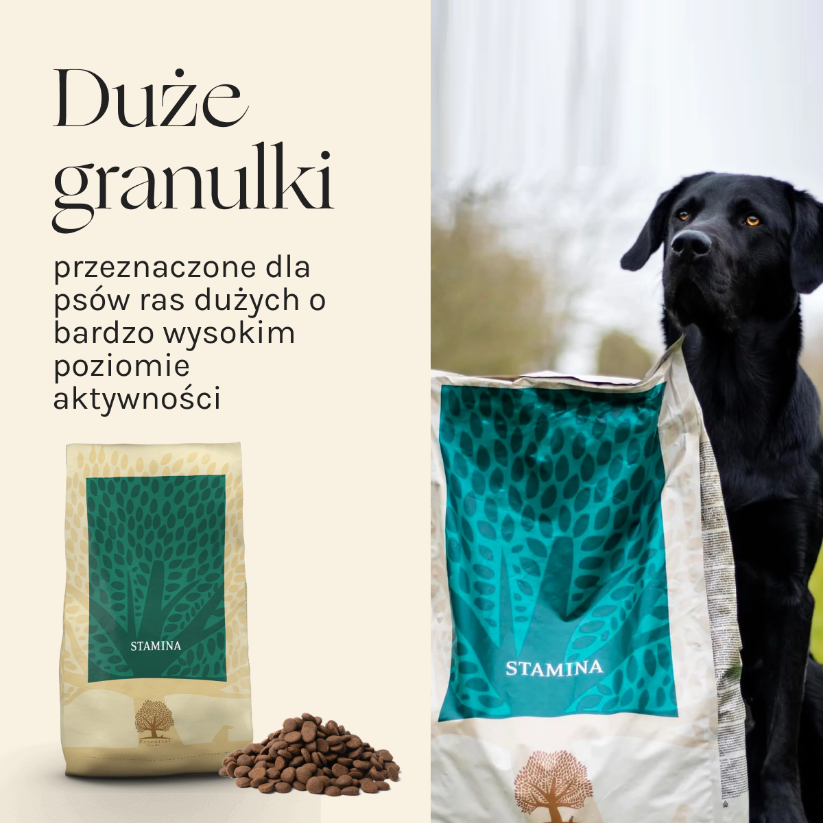 Essential Stamina dla Psa | Bez zbóż, Adult, 10kg