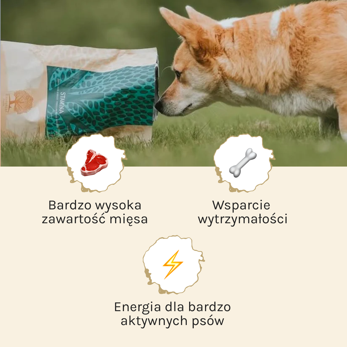 Essential Stamina dla Psa | Bez zbóż, Adult, 2,5kg