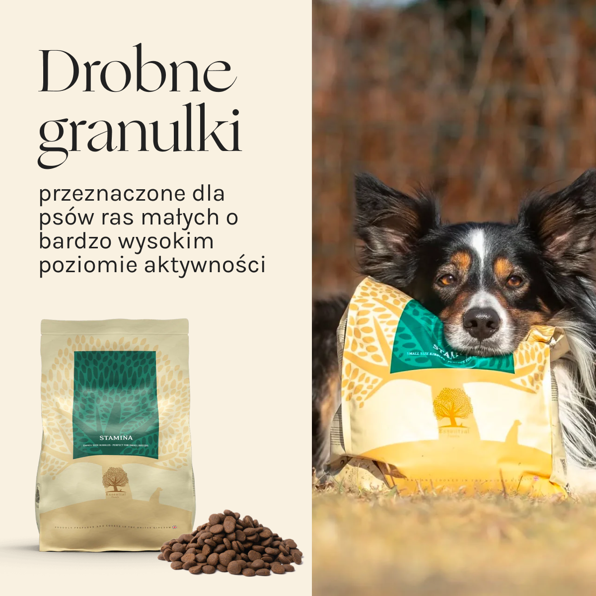 Essential Stamina dla Psa | Bez zbóż, Adult, 2,5kg