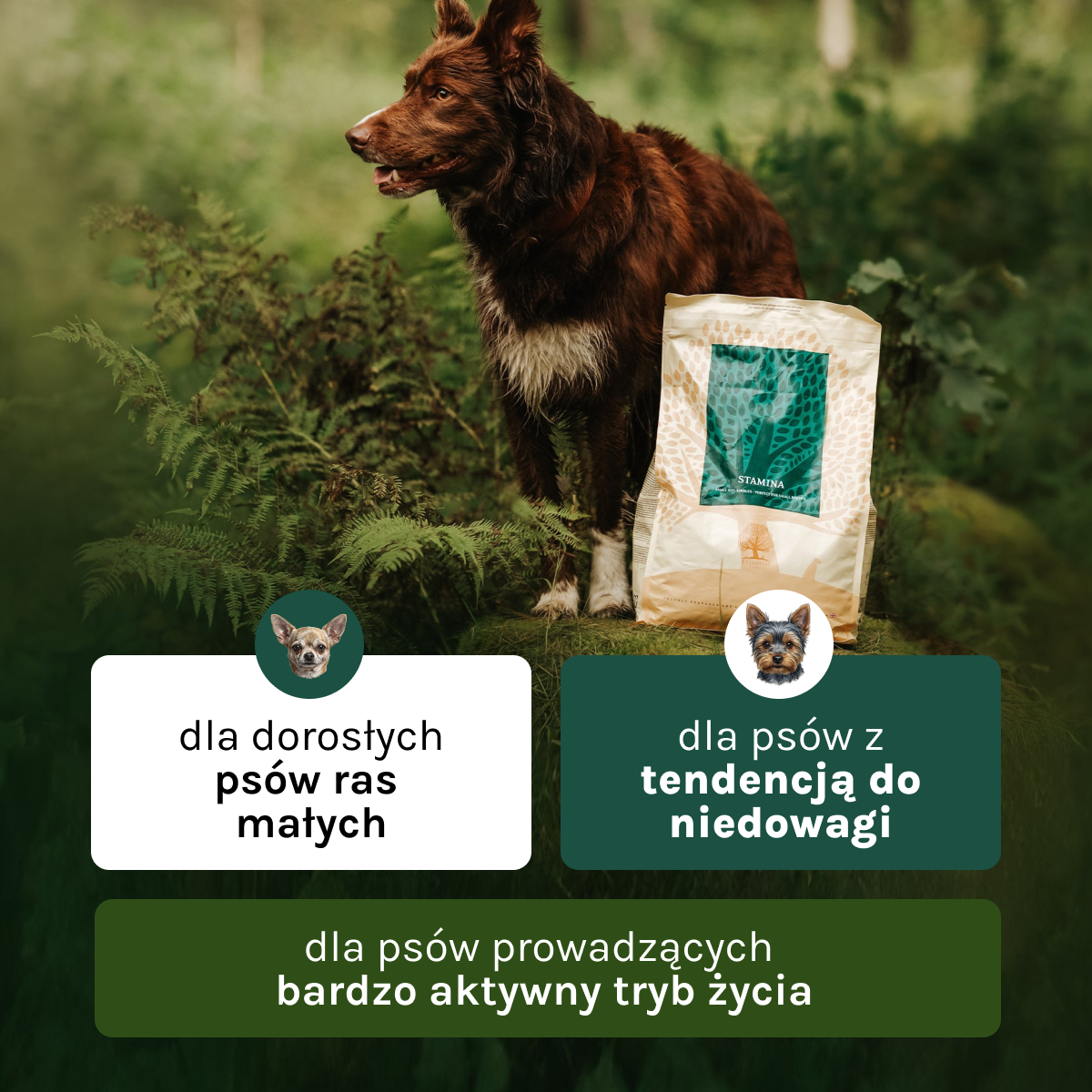 Essential Stamina dla Psa | Bez zbóż, Adult, 2,5kg
