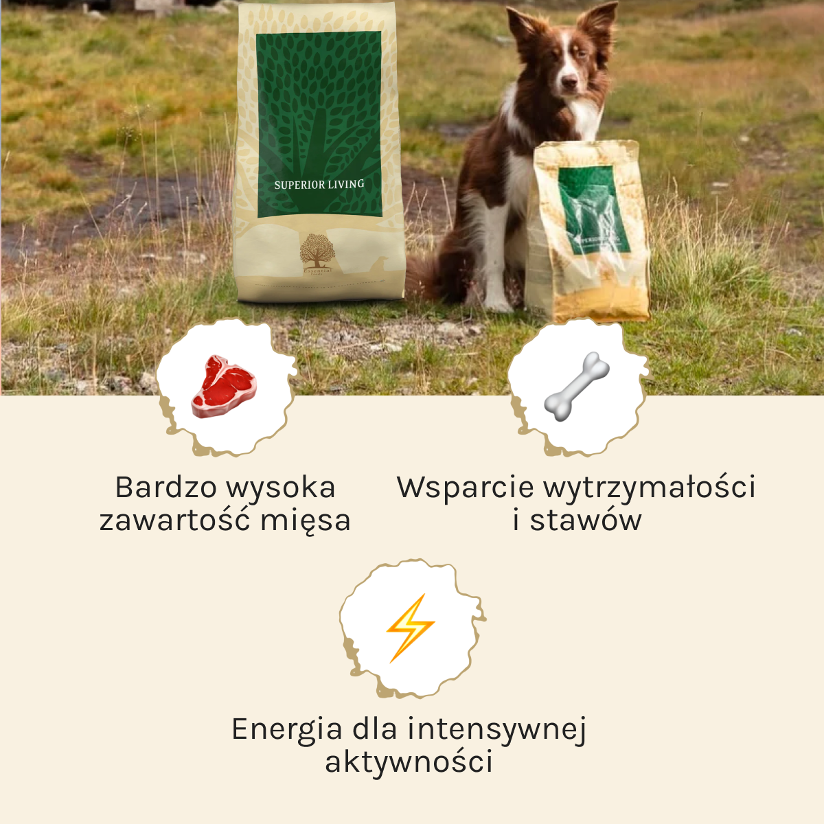 Essential Superior Living dla Psa | Bez zbóż, Adult, 10kg