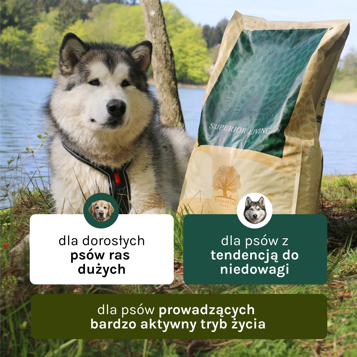 Essential Superior Living dla Psa | Bez zbóż, Adult, 10kg