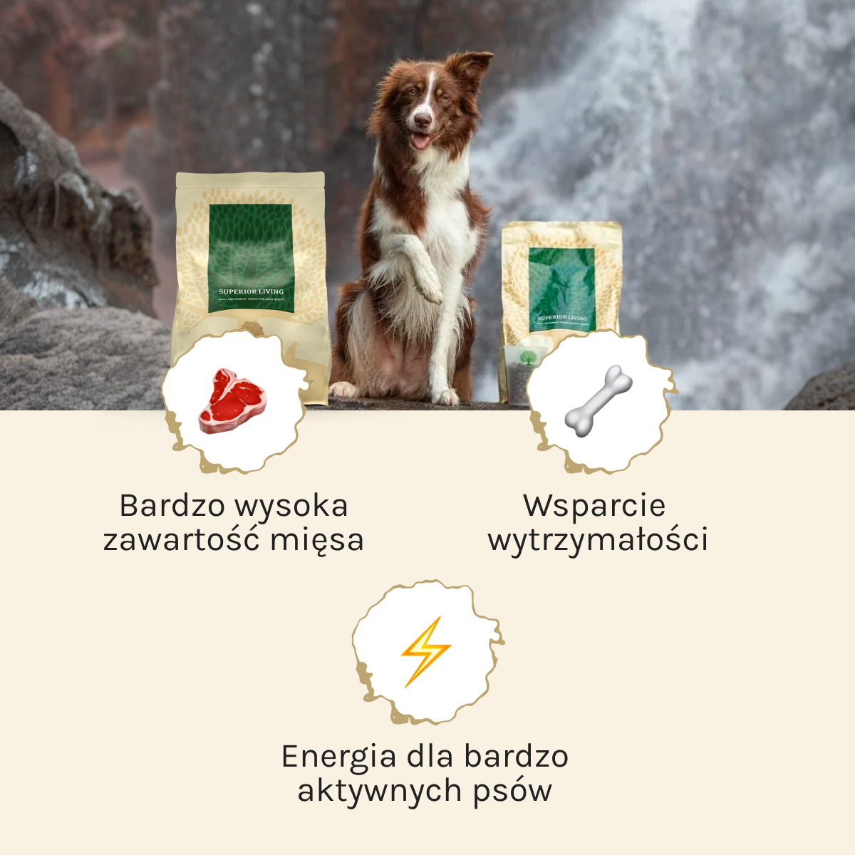 Essential Superior Living dla Psa | Bez zbóż, Adult, 2,5kg