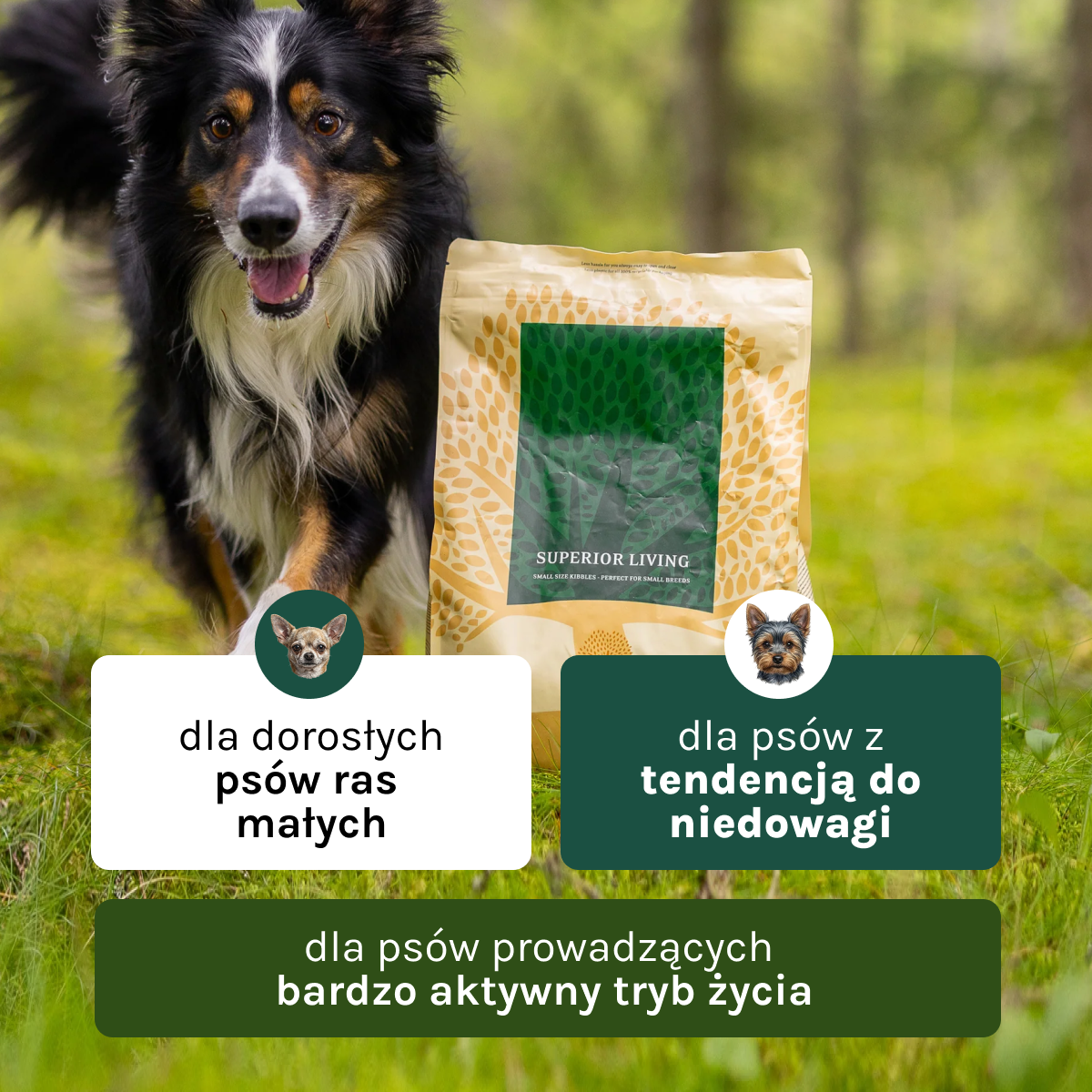 Essential Superior Living dla Psa | Bez zbóż, Adult, 2,5kg