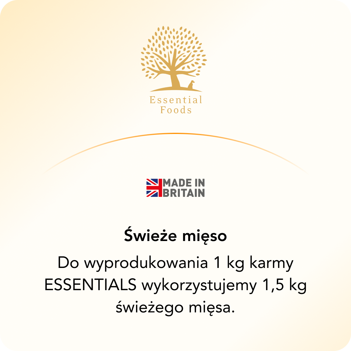 Essential dla Kotów