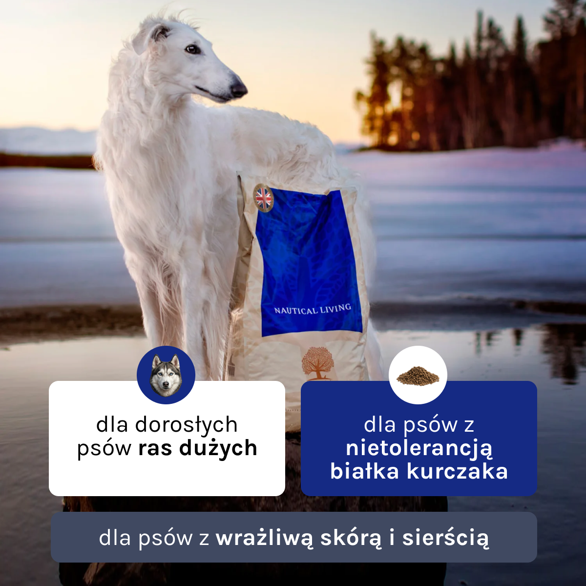 Essential Nautical Living dla Psa | Bez zbóż, Adult, 10kg