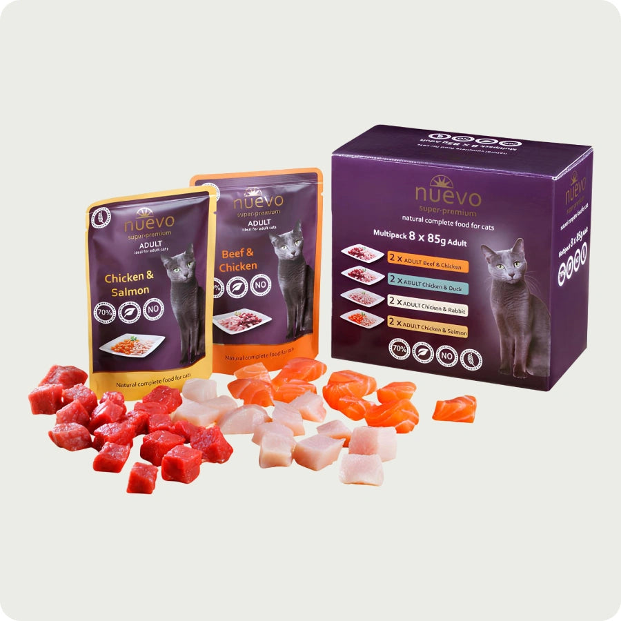 nuevo Multipack Kot 8x85g