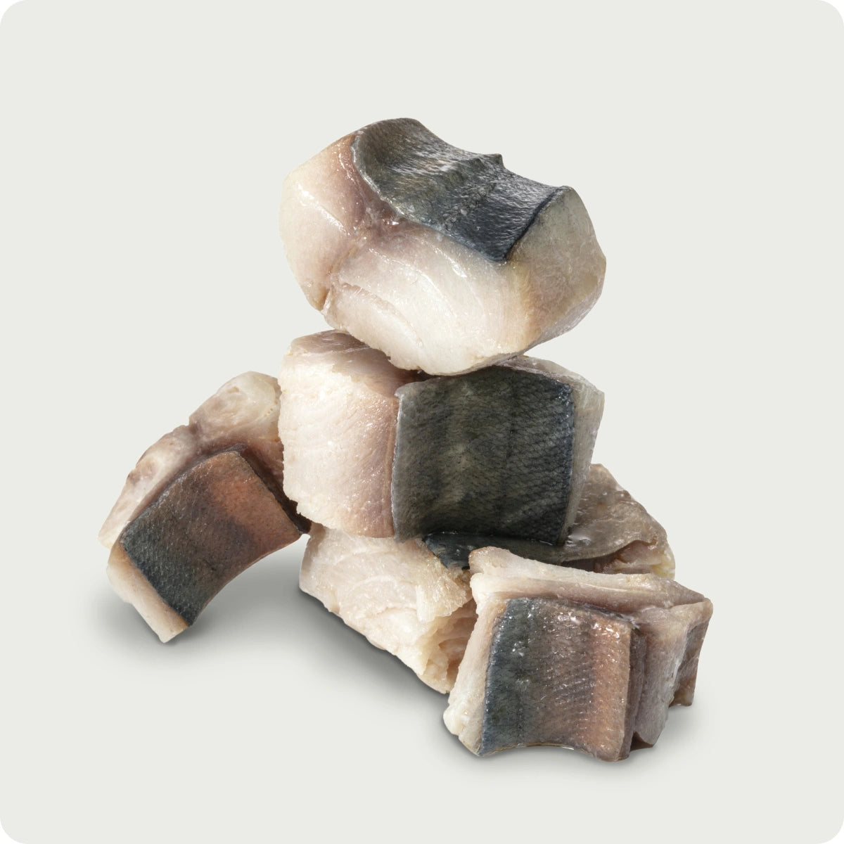 Active Joints Pack | zdrowe stawy i swobodny ruch