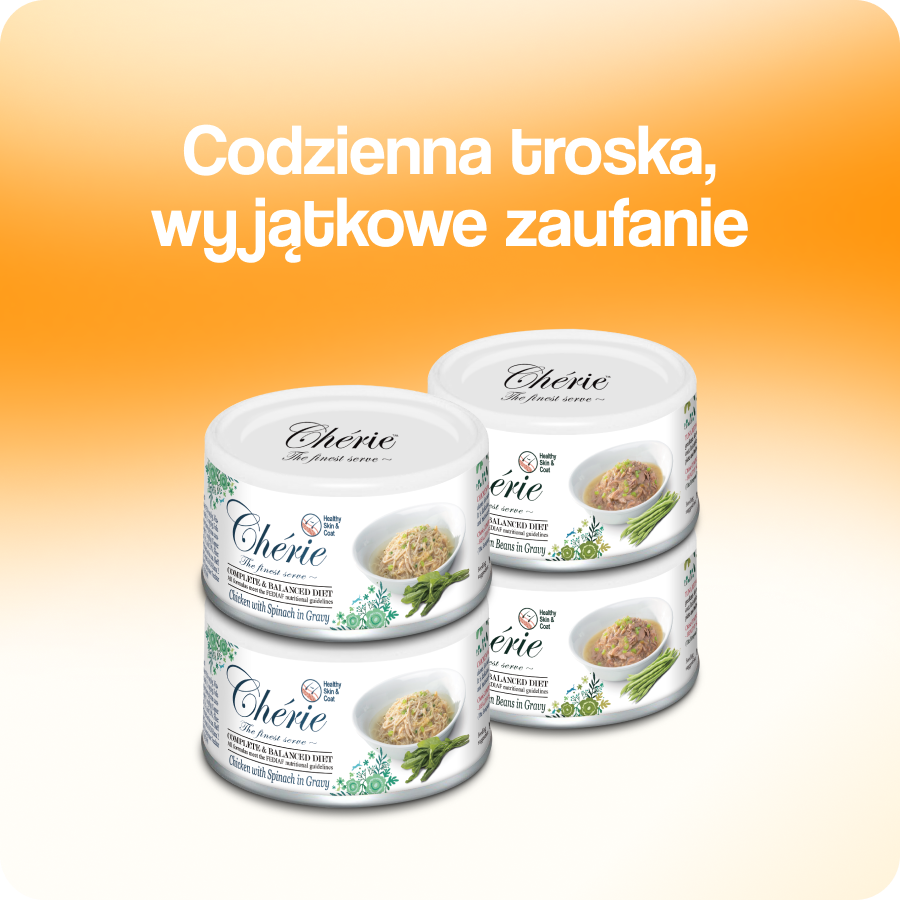 Główna dieta