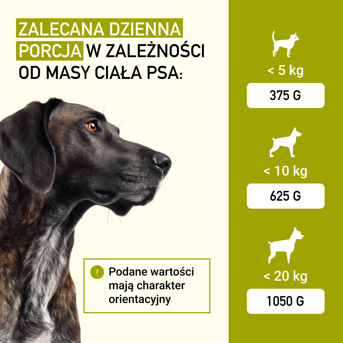 Isegrim Indyk + Salsefia, Olej Słonecznikowy i Zioła Górskie | Junior 410g