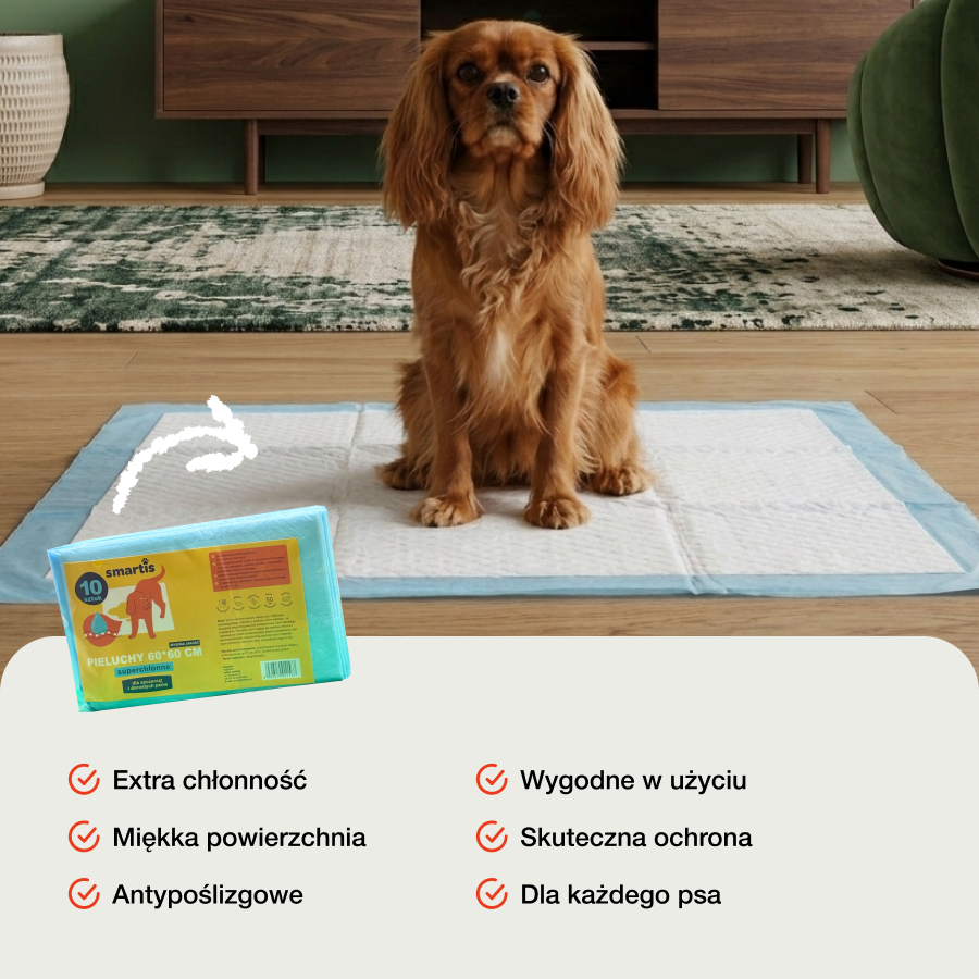 Smartis Podkłady Extra Absorbujące dla Psów i Szczeniąt | 60×60 cm | 10 szt