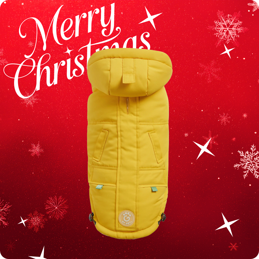 Parka z dopinanym kapturem  GF PET | dla Psa | Wodoodporna oraz Wiatroszczelna | Żółta