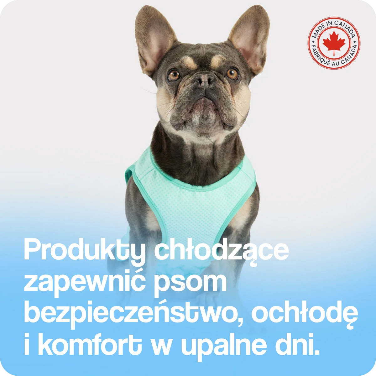 Produkty chłodzące