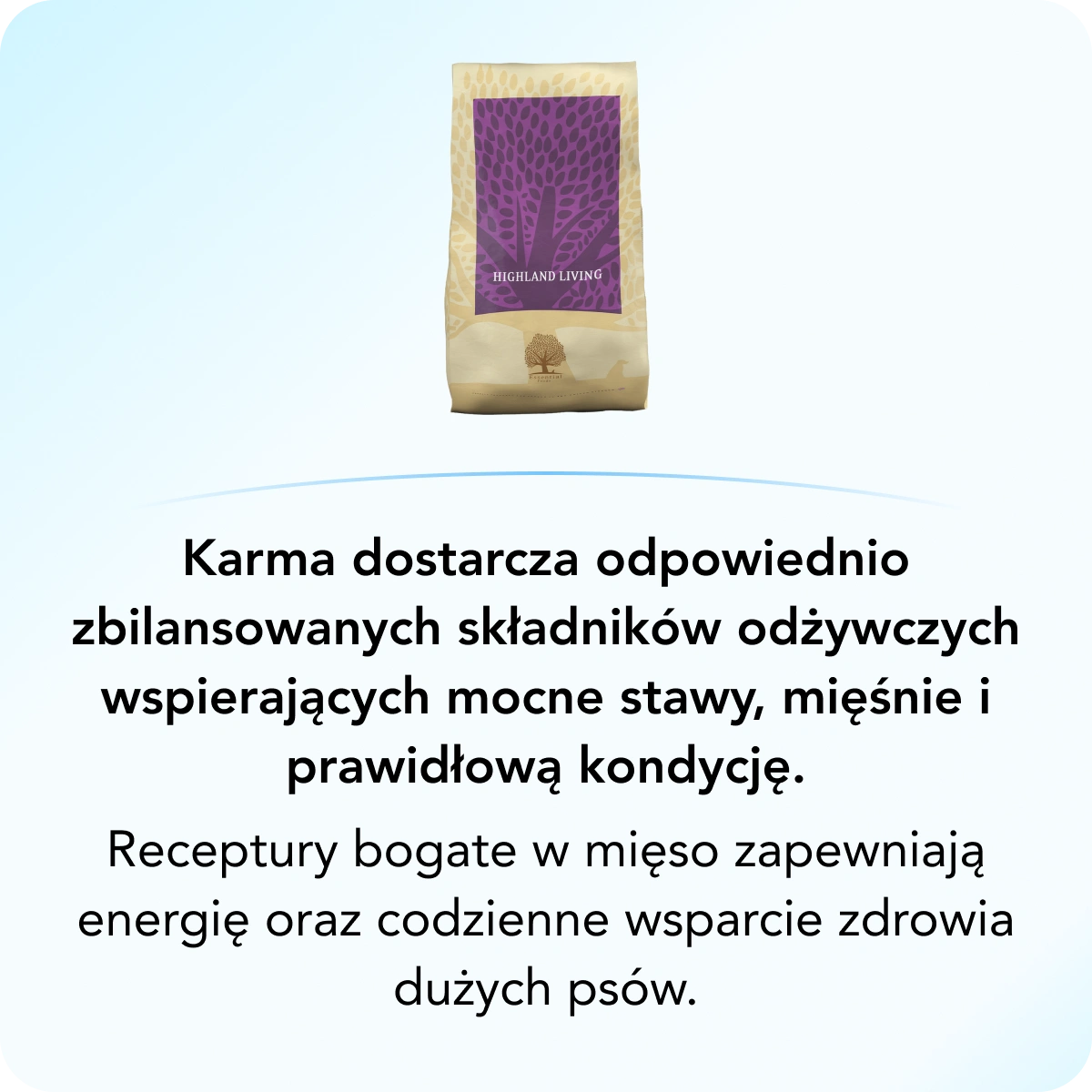 Dla dorosłych psów dużych ras