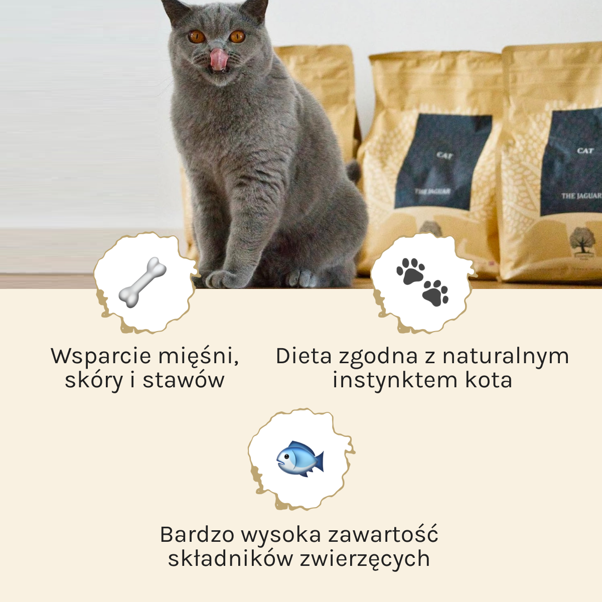 Essential the Jaguar dla Kota i Kociąt | Bez zbóż, 12kg