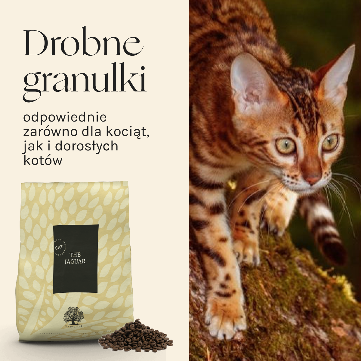 Essential the Jaguar dla Kota i Kociąt | Bez zbóż, 12kg