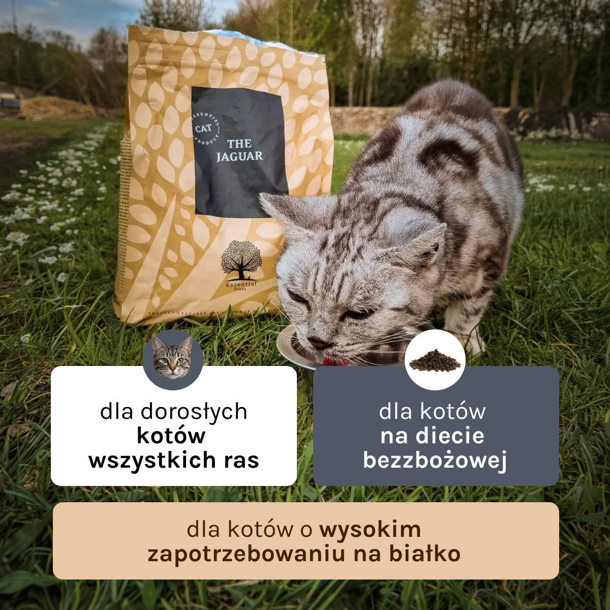 Essential the Jaguar dla Kota i Kociąt | Bez zbóż, 12kg