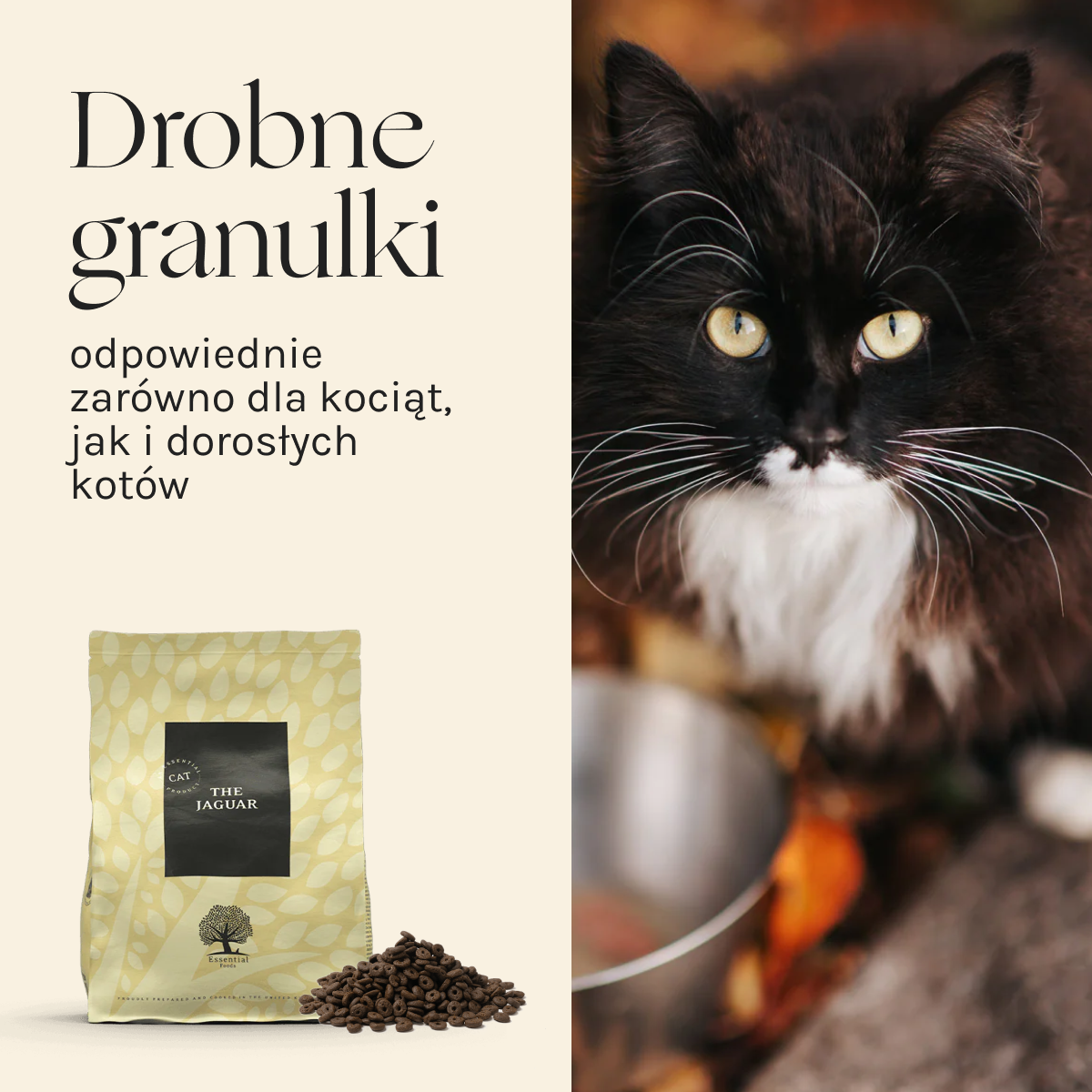 Essential the Jaguar dla Kota i Kociąt | Bez zbóż, 1,5kg