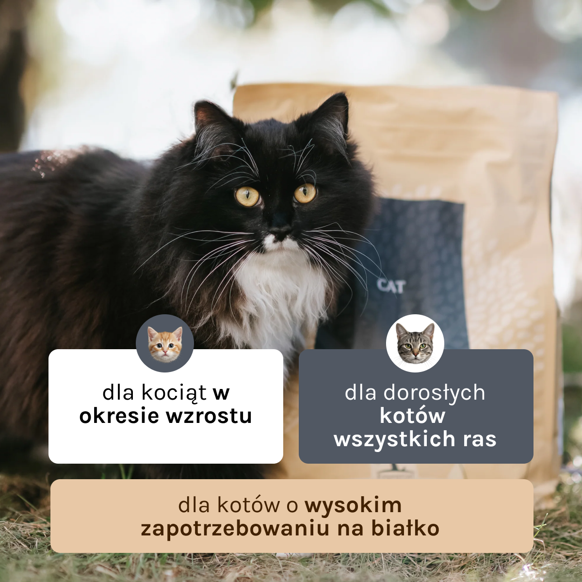 Essential the Jaguar dla Kota i Kociąt | Bez zbóż, 1,5kg