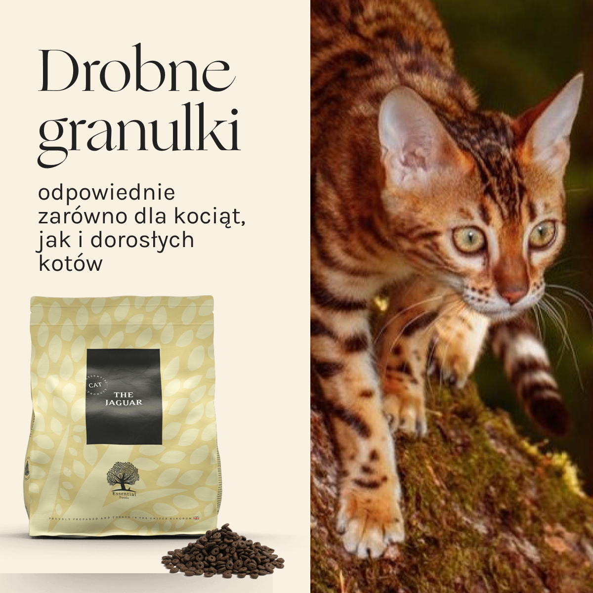 Essential the Jaguar dla Kota i Kociąt | Bez zbóż, 3kg