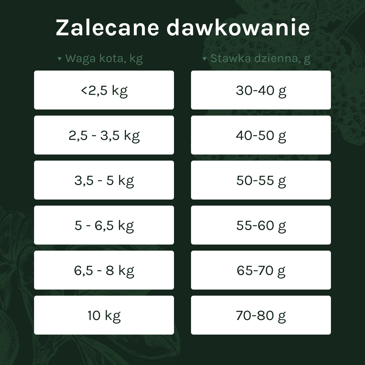 Essential the Jaguar dla Kota i Kociąt | Bez zbóż, 3kg