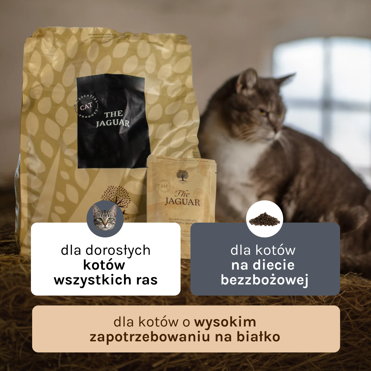 Essential the Jaguar dla Kota i Kociąt | Bez zbóż, 3kg
