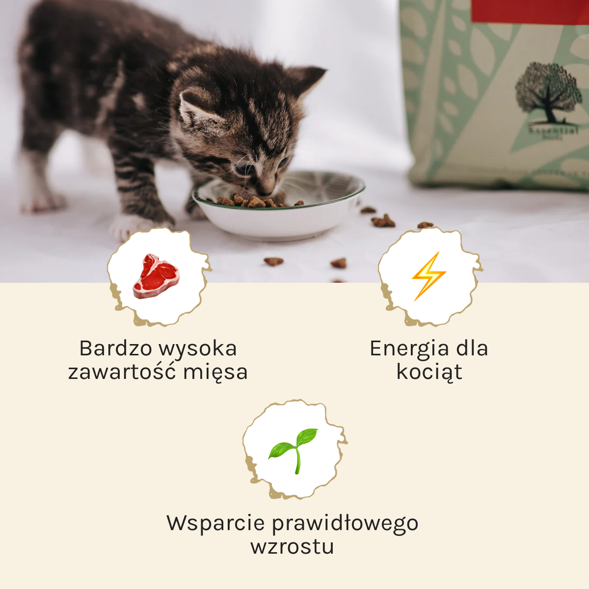 Essential the Little Lion dla Kociąt | Bez zbóż, 1,5kg