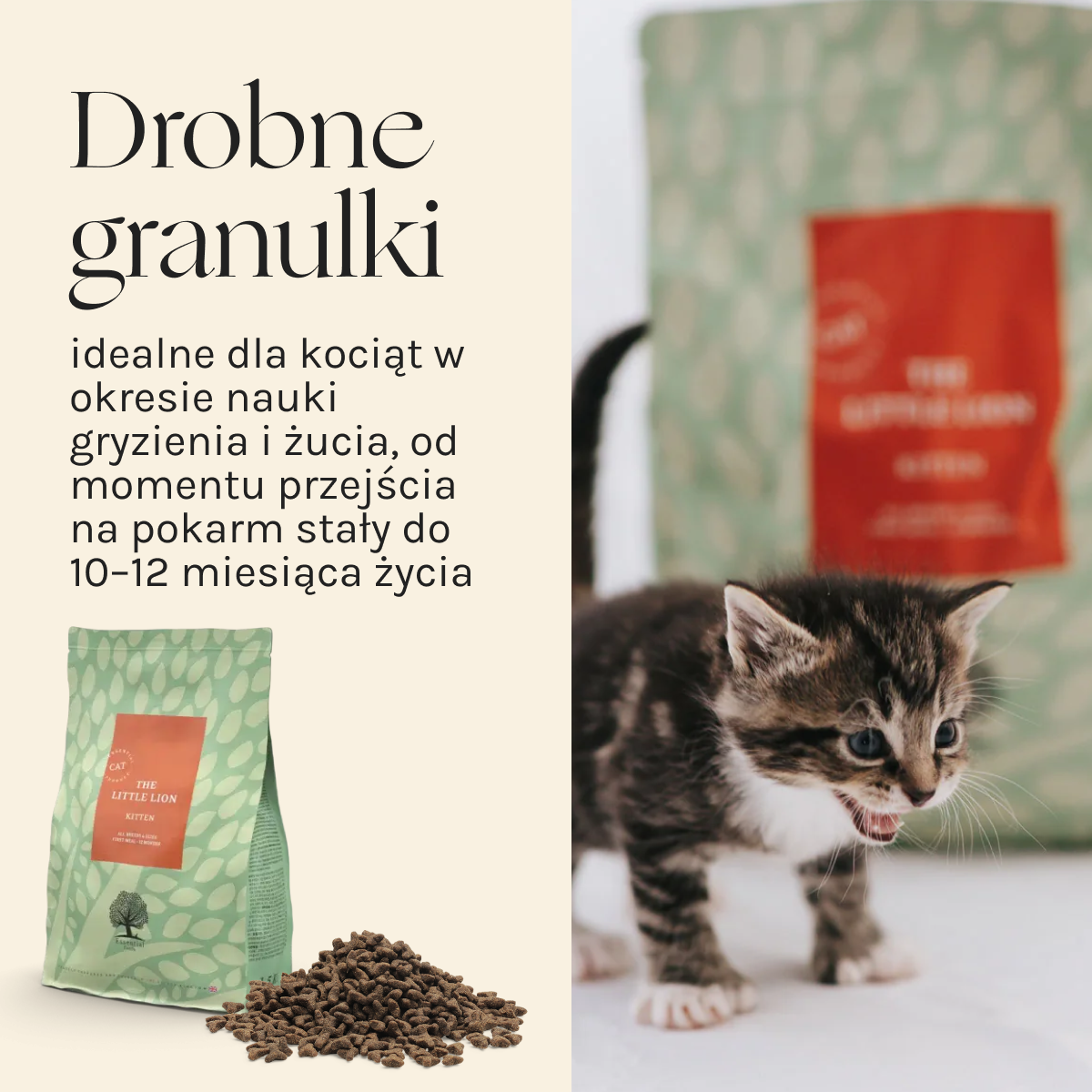 Essential the Little Lion dla Kociąt | Bez zbóż, 1,5kg