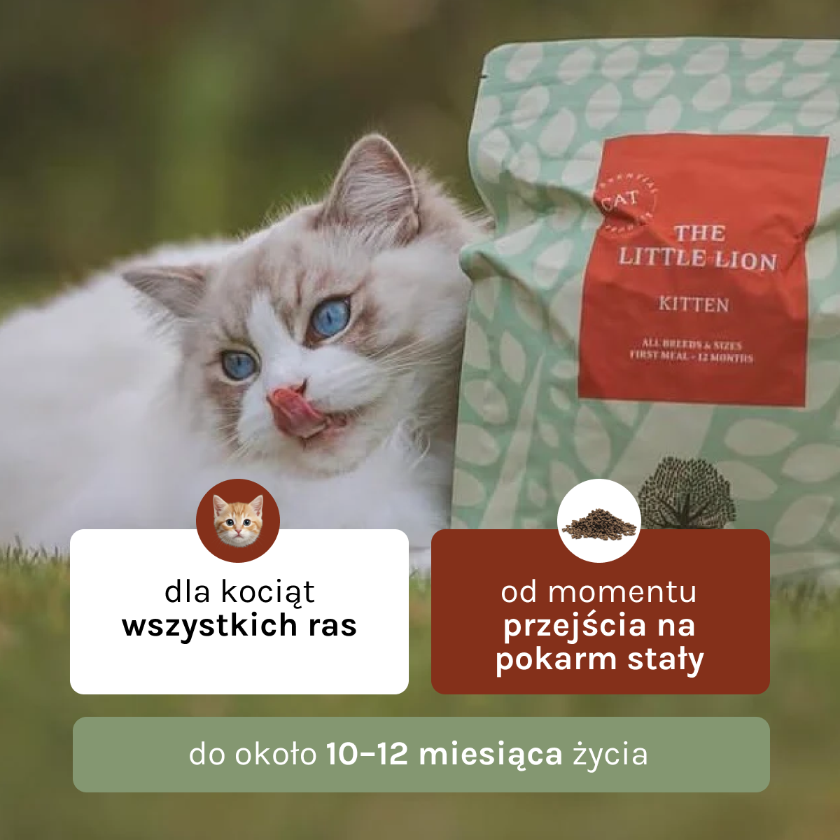 Essential the Little Lion dla Kociąt | Bez zbóż, 1,5kg