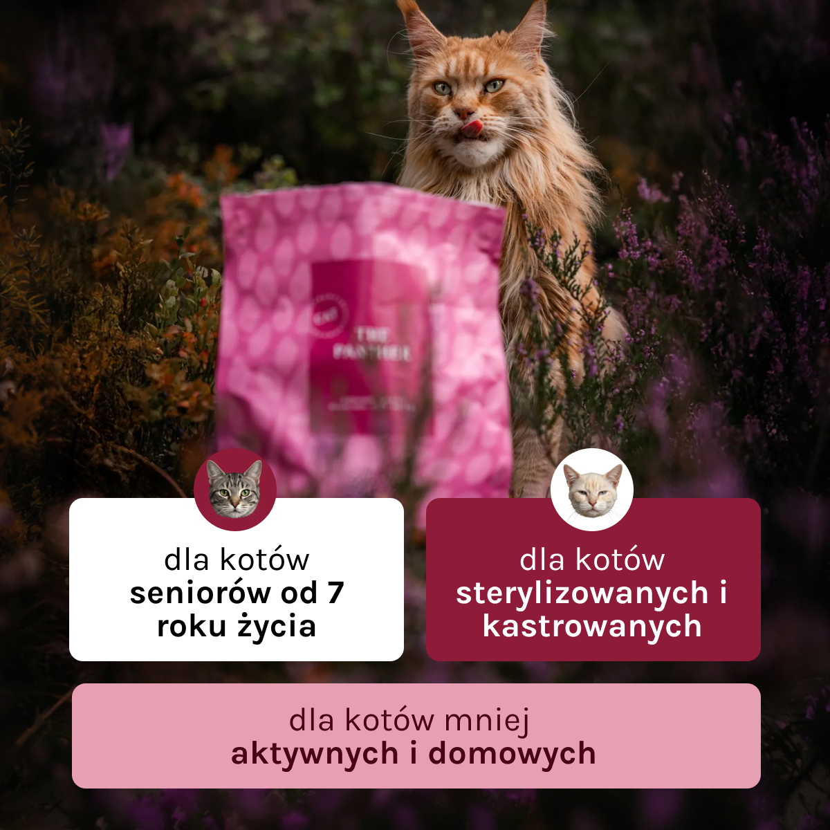 Essential the Panther dla Kota | Bez zbóż, dla Sterylizowanych, 1,5kg