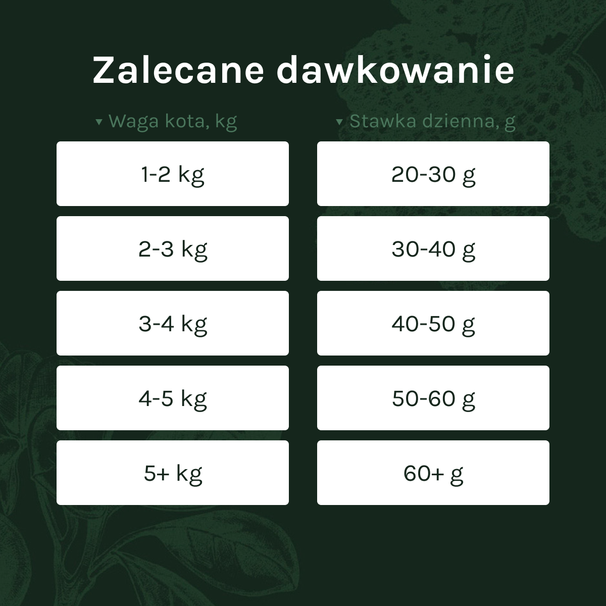 Essential the Panther dla Kota | Bez zbóż, dla Sterylizowanych, 3kg