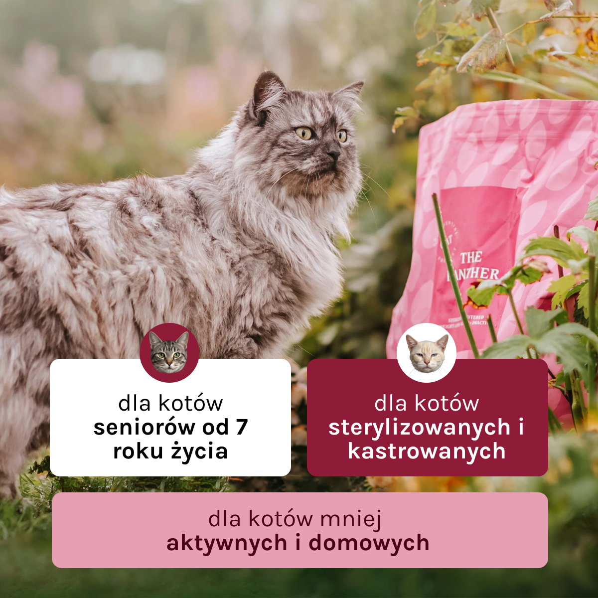 Essential the Panther dla Kota | Bez zbóż, dla Sterylizowanych, 3kg