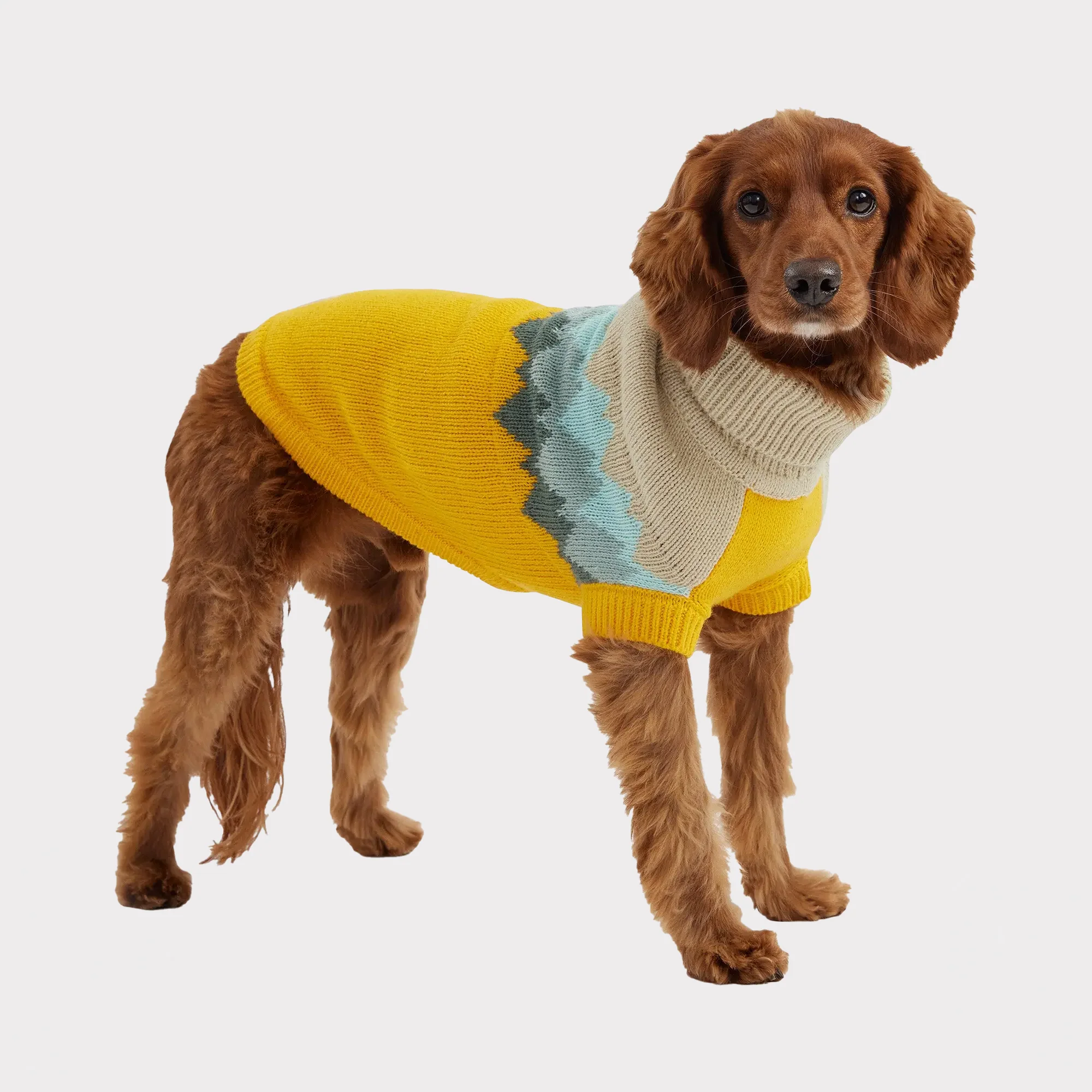 Sweter GF PET | dla Psa  | Fireside Sweater | Komfortowy i Ciepły | Żółty