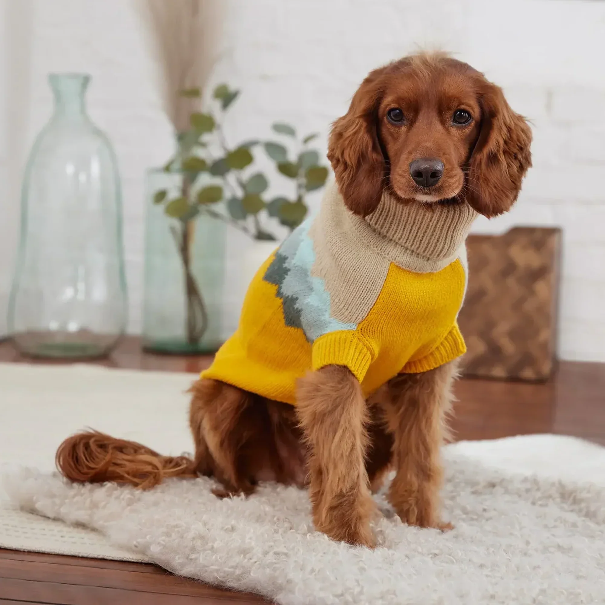 Sweter GF PET | dla Psa  | Fireside Sweater | Komfortowy i Ciepły | Żółty