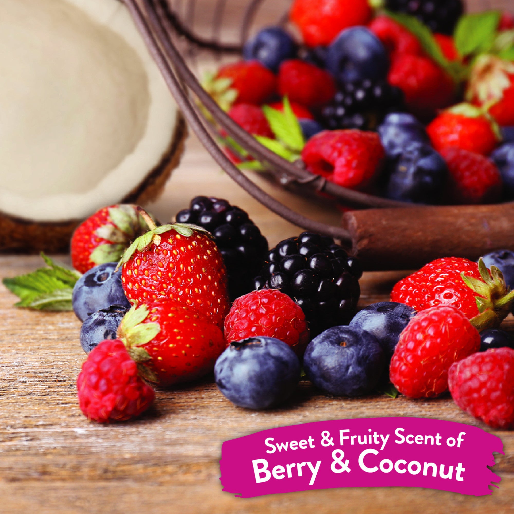 TROPICLEAN CHUSTECZKI BERRY & COCONUT 100SZT