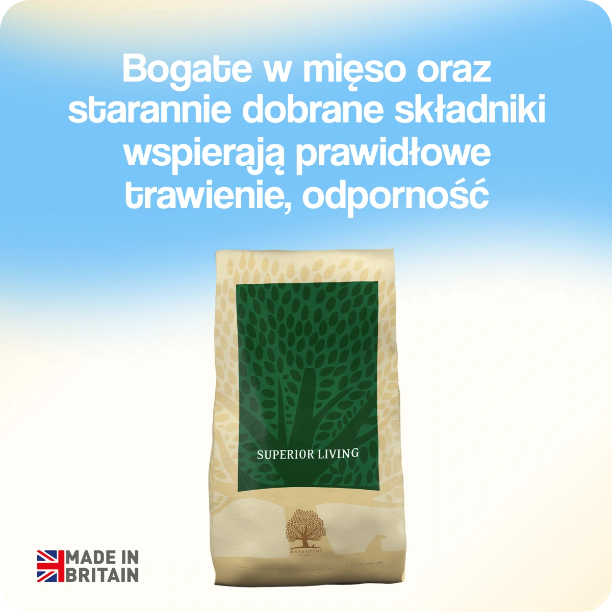 Główna dieta