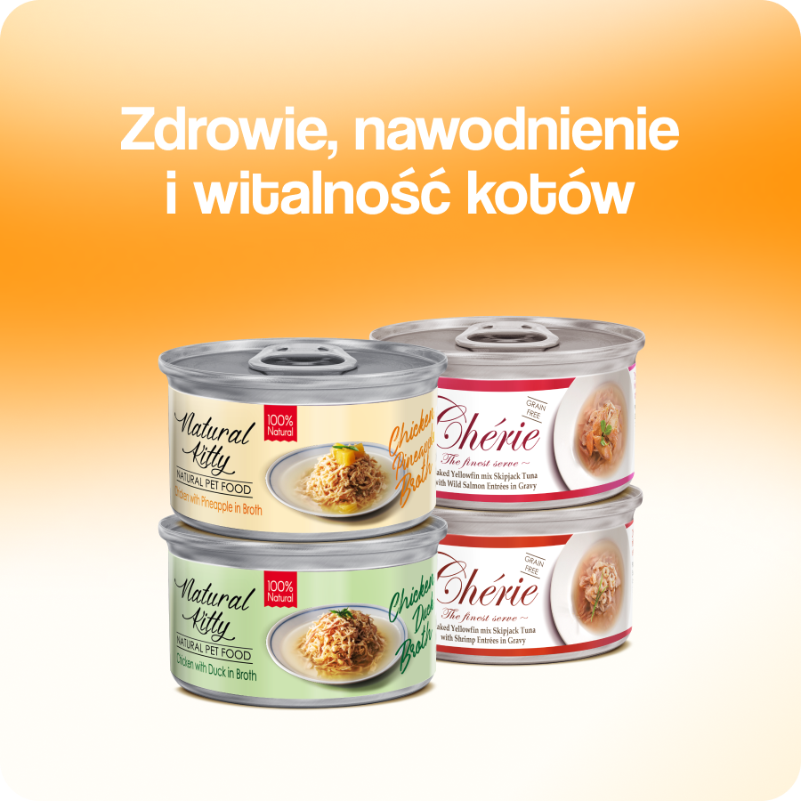 Mokra karma dla kotów