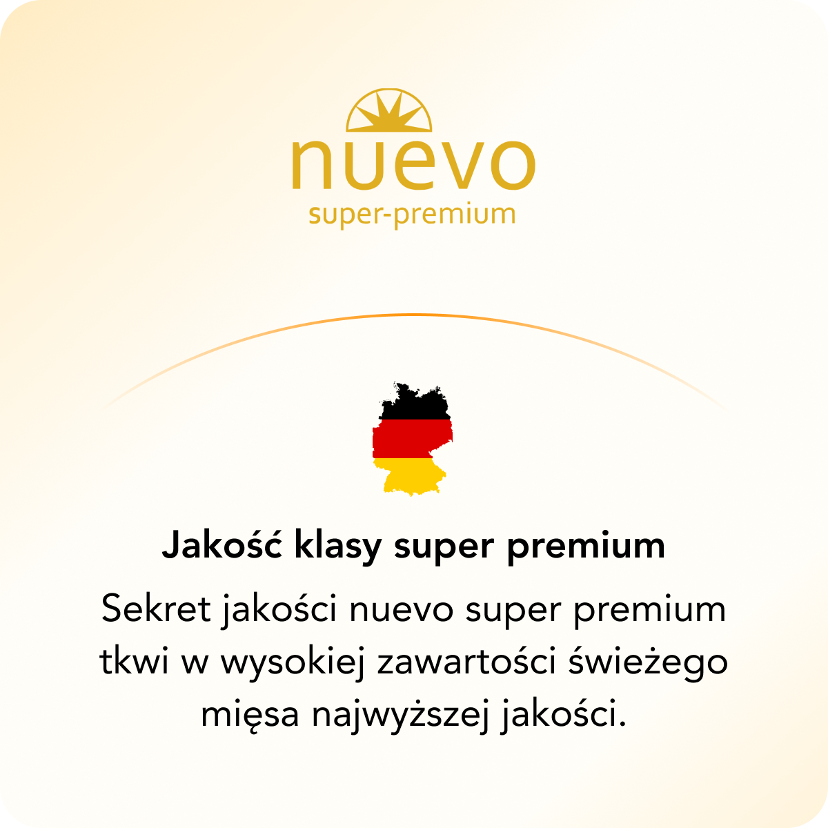 nuevo dla kotów